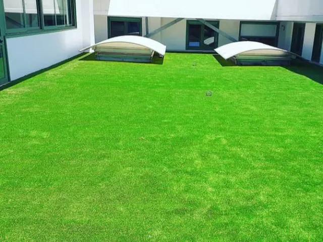 Cortile con erba sintetica intorno ai lucernari