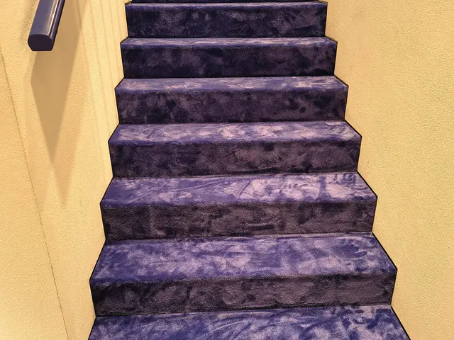 Scala interna con corrimano e gradini in moquette blu
